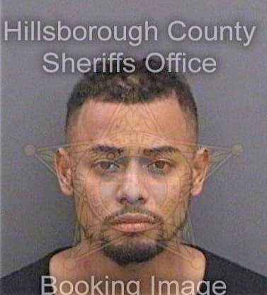 Lupian Aaron - Hillsborough County, FL 