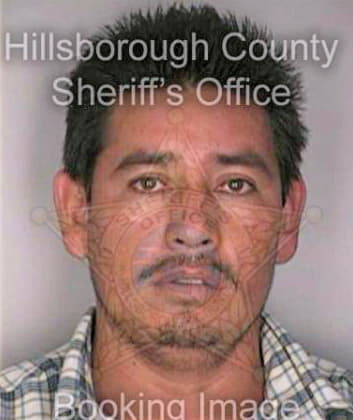 Gomezleon Jose - Hillsborough County, FL 