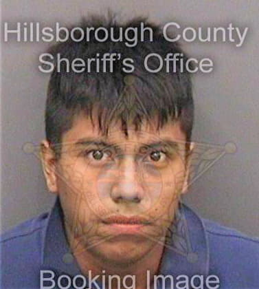 Garcia David - Hillsborough County, FL 