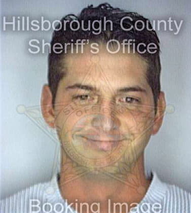 Lucas Albert - Hillsborough County, FL 