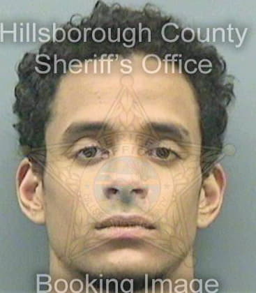 Gomes Derrick - Hillsborough County, FL 