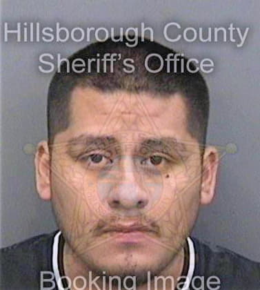 Lopez Fabian - Hillsborough County, FL 