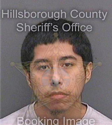 Espinoza Hector - Hillsborough County, FL 