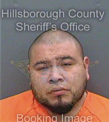 Lucas Marcario - Hillsborough County, FL 