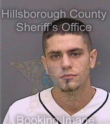 Mcquerter James - Hillsborough County, FL 