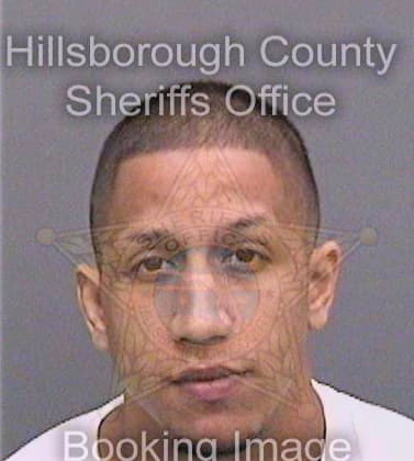 Corianovillegas Carlos - Hillsborough County, FL 