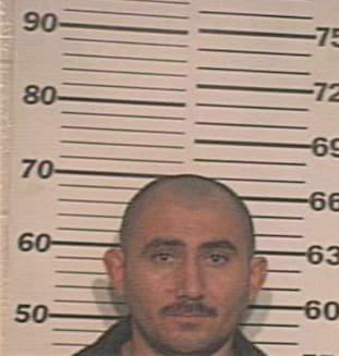 Mejia Hector - Hidalgo County, TX 