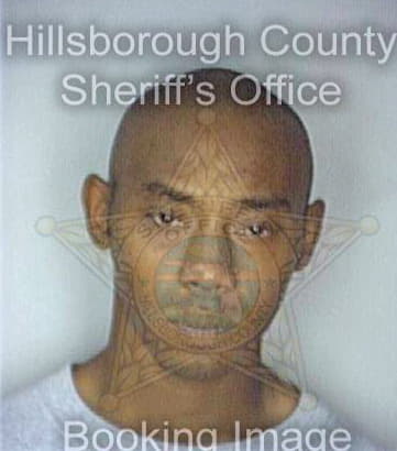 Simmons Joseph - Hillsborough County, FL 