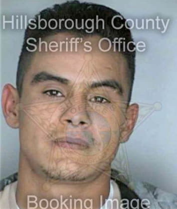 Trevino Estevali - Hillsborough County, FL 