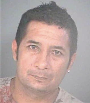 Dominguez David - Hillsborough County, FL 