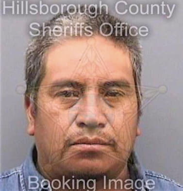 Domingotomas Efrain - Hillsborough County, FL 