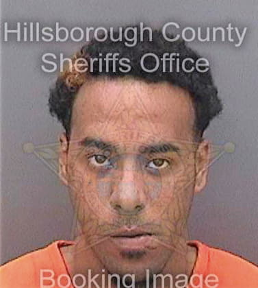 Diaz Hector - Hillsborough County, FL 