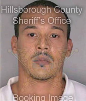 Pastore Steven - Hillsborough County, FL 