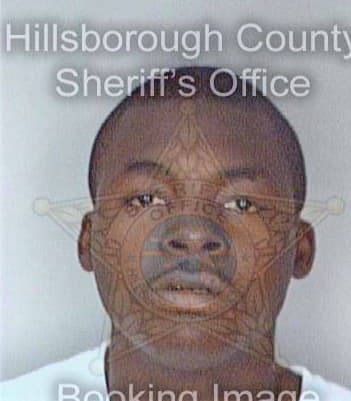 Mcdonald Dameon - Hillsborough County, FL 
