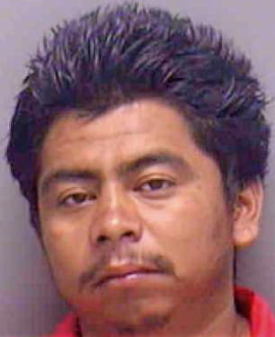 Hernandez Mariano - Lee County, FL 