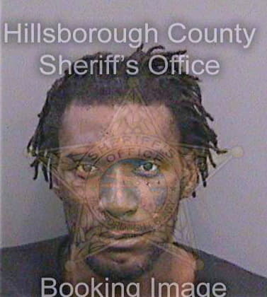 Lloyd Michael - Hillsborough County, FL 