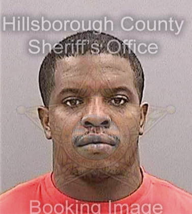 Mullins Michael - Hillsborough County, FL 