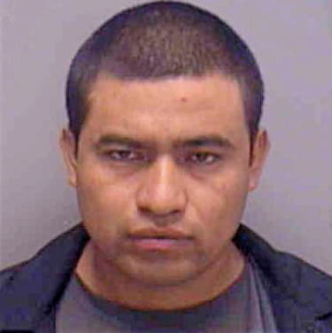 Sarat Noe - Lee County, FL 