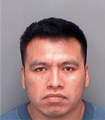 Marcial Jaime - Pinellas County, FL 