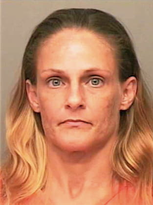Hollar Amy - Montgomery County, TN 