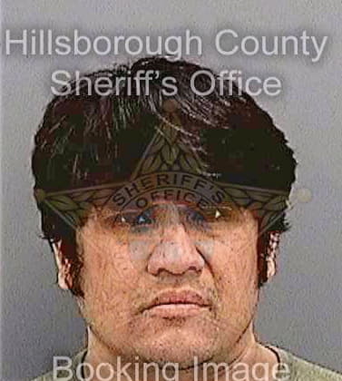 Dizon Gary - Hillsborough County, FL 