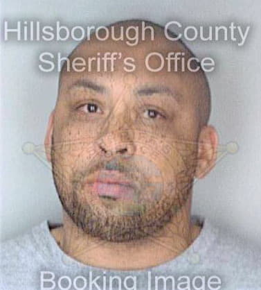 Smith Bruce - Hillsborough County, FL 