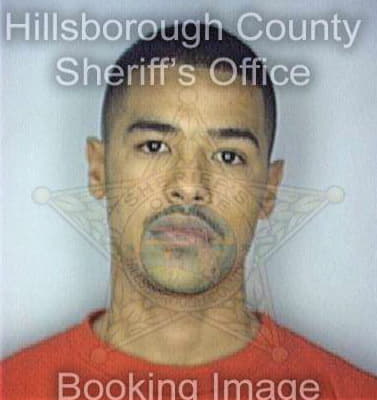 Calo Luis - Hillsborough County, FL 