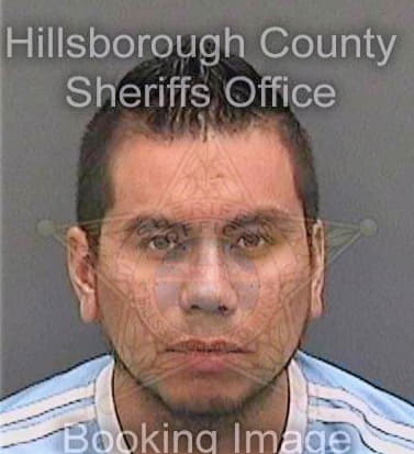 Parrales Albert - Hillsborough County, FL 