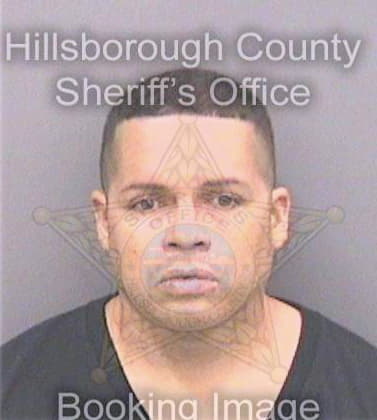 Rodriguez Joel - Hillsborough County, FL 