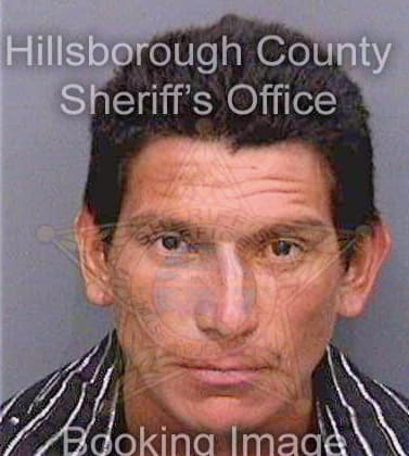 Osegueracruz Fredy - Hillsborough County, FL 