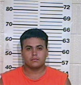 Lerma Gustavo - Hidalgo County, TX 