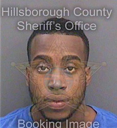 Daniels James - Hillsborough County, FL 