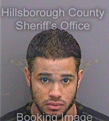 Mathis Brandon - Hillsborough County, FL 