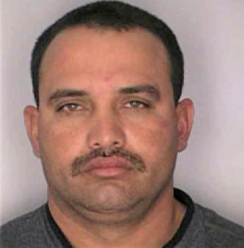 Silvavalero Osmel - Hillsborough County, FL 