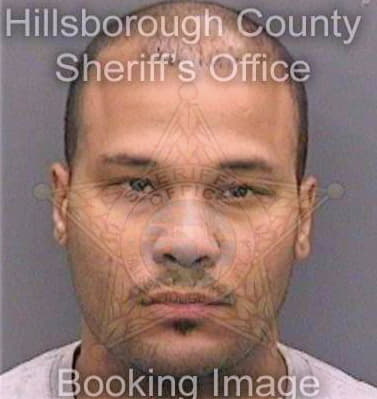 Diaz Enrique - Hillsborough County, FL 