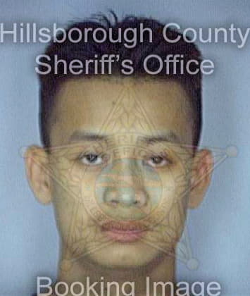 Pham Duy - Hillsborough County, FL 