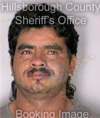 Melgarejo Agustin - Hillsborough County, FL 