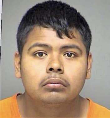 Perez Fernando - Denton County, TX 