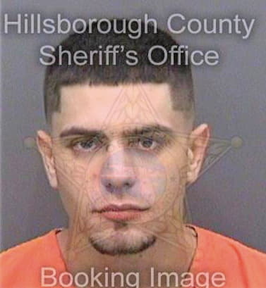 Mcquerter James - Hillsborough County, FL 