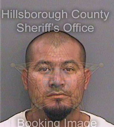 Dominguezlopez Jose - Hillsborough County, FL 