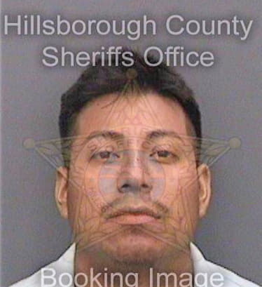 Ramirezgarcia Raul - Hillsborough County, FL 