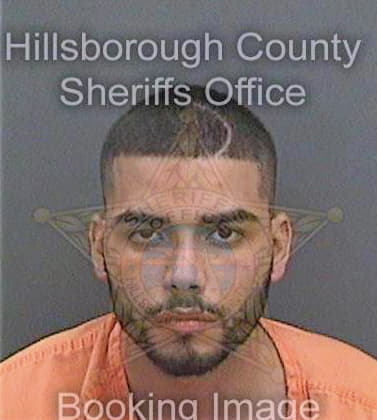 Feborivera Jonathan - Hillsborough County, FL 