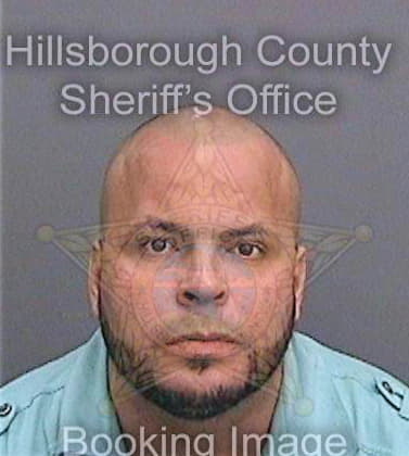 Feliciano Sherwin - Hillsborough County, FL 