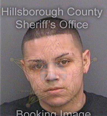 Meza Antonio - Hillsborough County, FL 