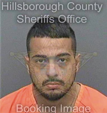 Sanchez Carlos - Hillsborough County, FL 