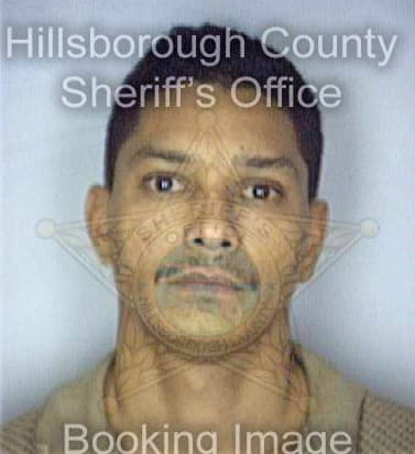 Santiago Fabio - Hillsborough County, FL 