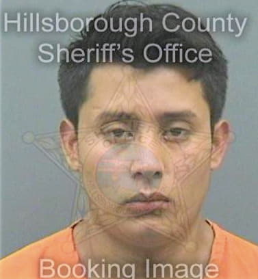 Santizlopez Salvador - Hillsborough County, FL 