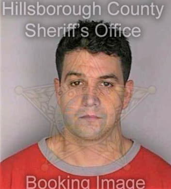 Michaud Gregory - Hillsborough County, FL 