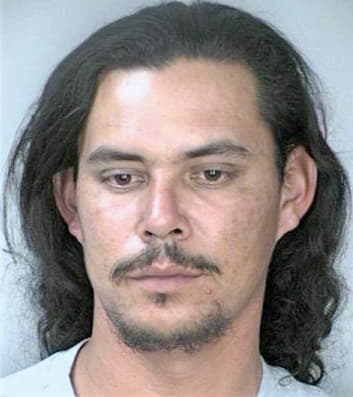 Sanchez Hector - Hillsborough County, FL 