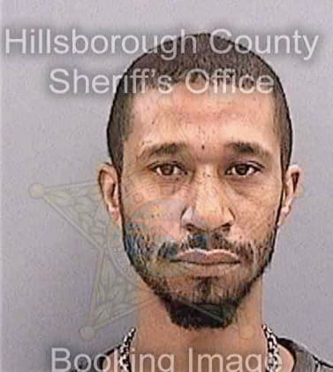 Oneal James - Hillsborough County, FL 